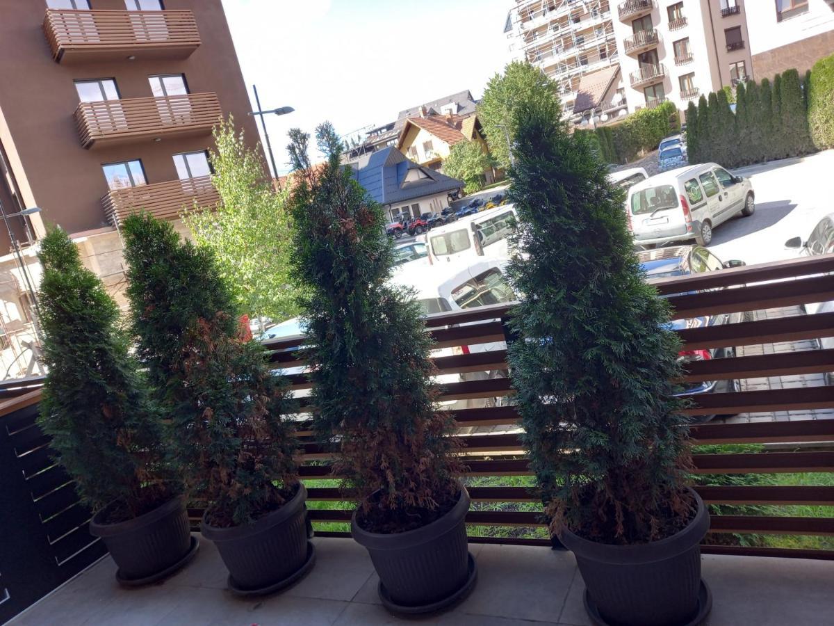 Apartman Oaza Kalman SPA-GYM Zlatibor Kültér fotó